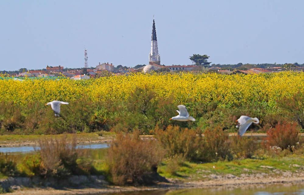 ラ・クアルド・シュル・メール La Passerose 3 Pieces Avec Jardin Au Calme,A 300M De La Plage, Bed & Breakfast エクステリア 写真