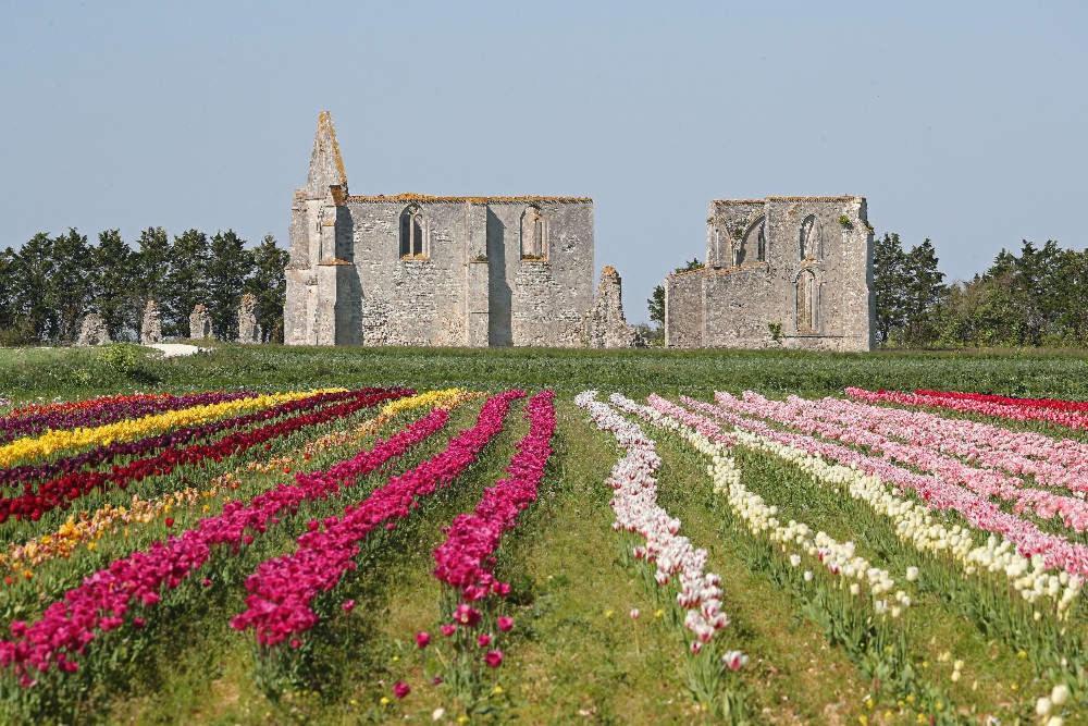 ラ・クアルド・シュル・メール La Passerose 3 Pieces Avec Jardin Au Calme,A 300M De La Plage, Bed & Breakfast エクステリア 写真